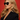 Shelly Sunglasses in Black